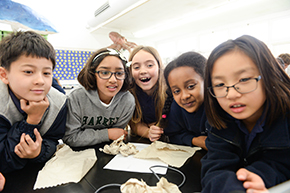 Lower and Upper School WISTEM Buddies