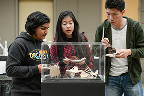 Upper School AP Art Exhibit