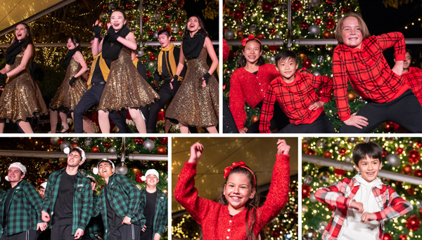 Harker Holiday Greeting Banner Image