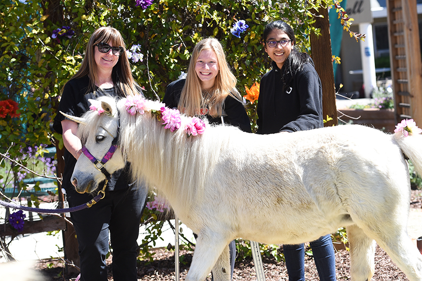 Upper School Unicorn Visit