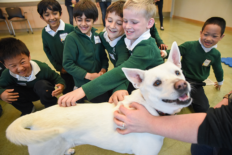 LS Humane Society Field Trip