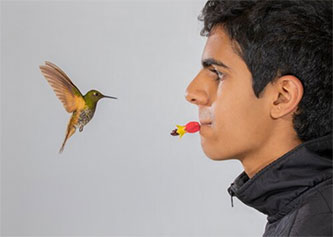 Junior Wins Audubon Photography Award