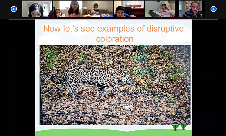 Lower School Rain Forest Assembly