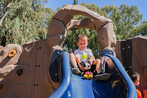 Kindergarten Teddy Bear Picnic
