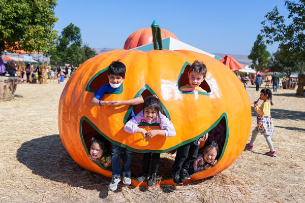 Kindergarten Field Trip to Spina Farms