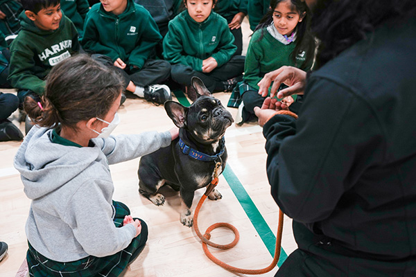 Grade 1 Pets in Need Assembly