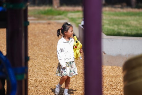 Kindergarten Teddy Bear Picnic