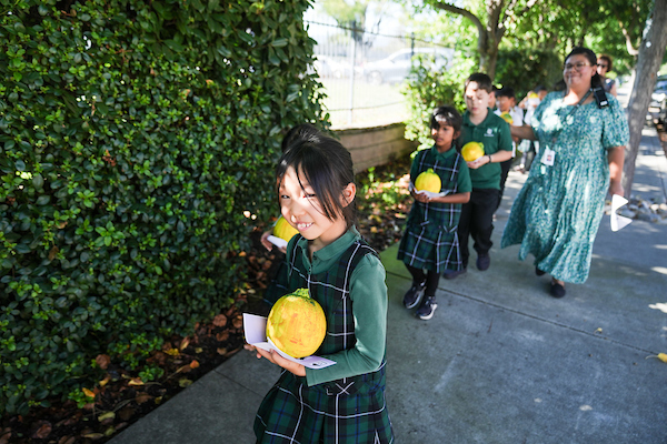 Grade 2 Pumpkin Delivery