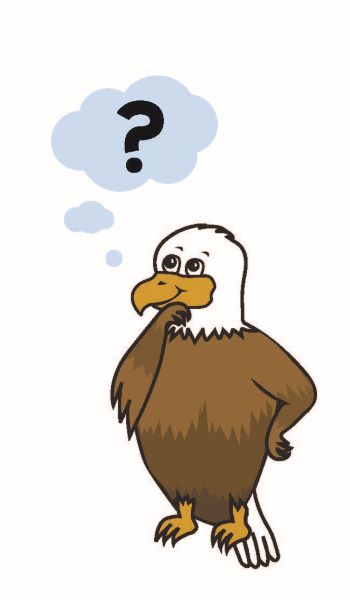 wondering eagle